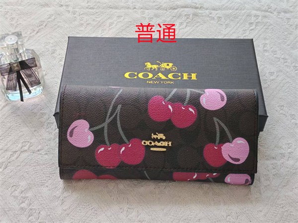 Coach Wallet-0186