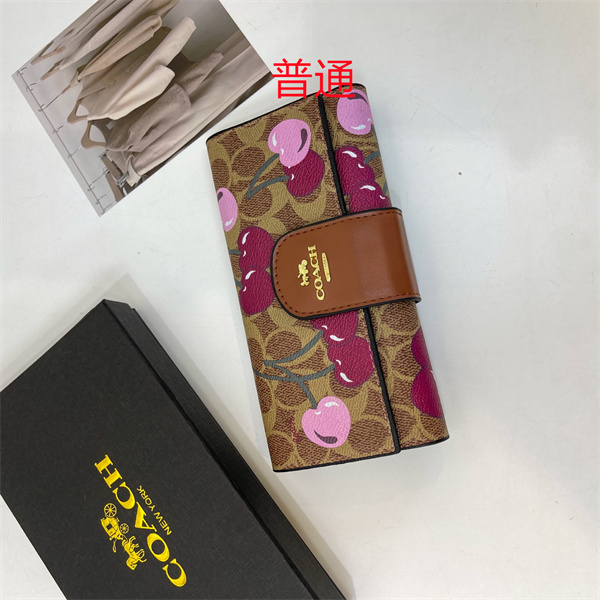 Coach Wallet-0195