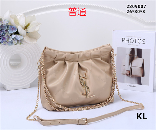 YSL small bag-0113