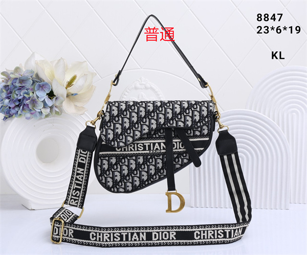Dior small bag-0097