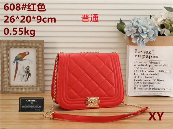 Chanel small bag-0070