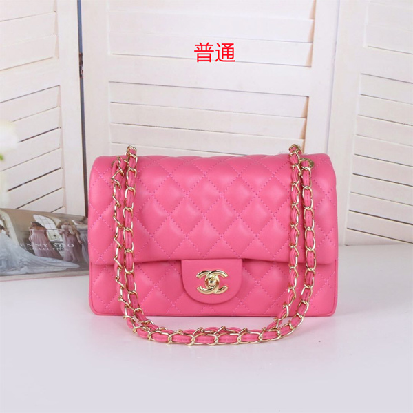 Chanel small bag-0079