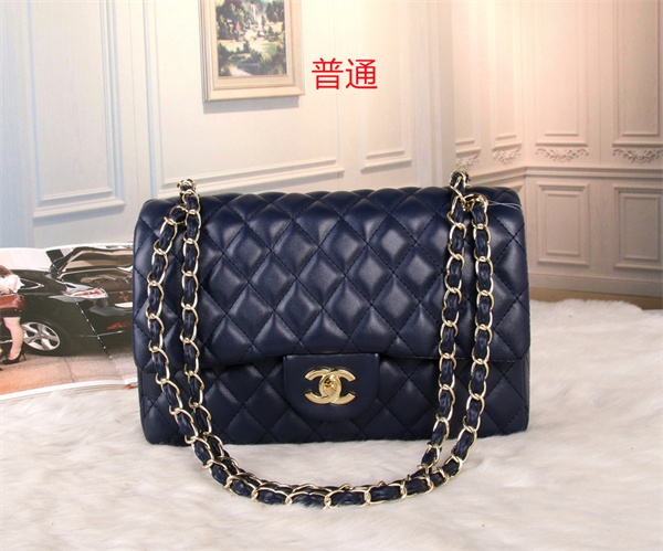 Chanel bag-0184