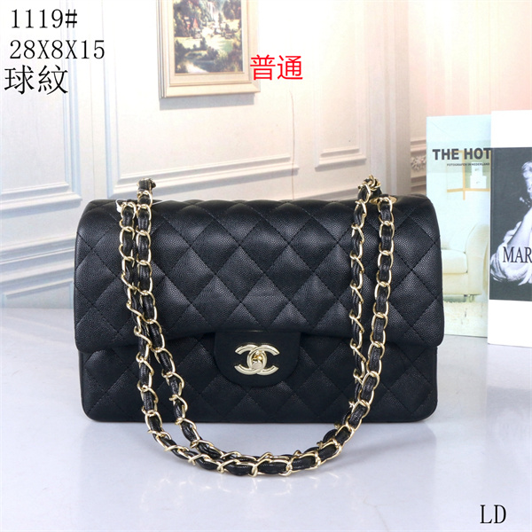 Chanel bag-0196