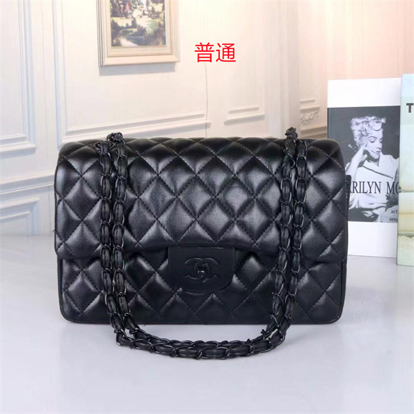 Chanel bag-0197