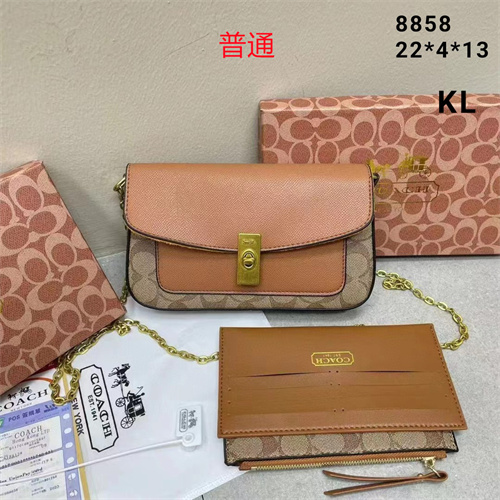 Coach small bag-0072
