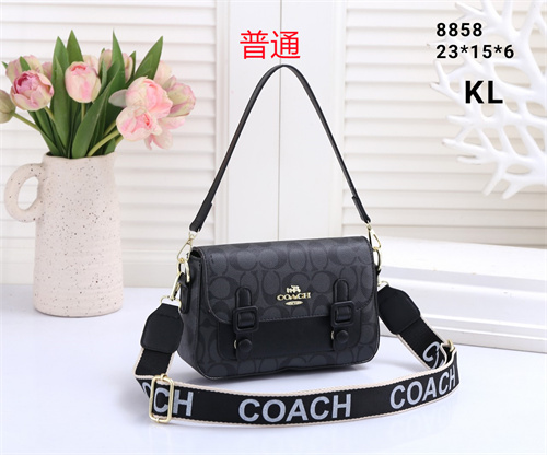 Coach small bag-0076