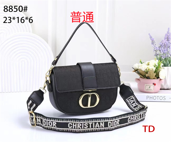 Dior small bag-0110