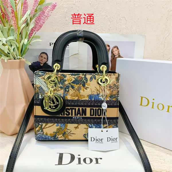Dior small bag-0126