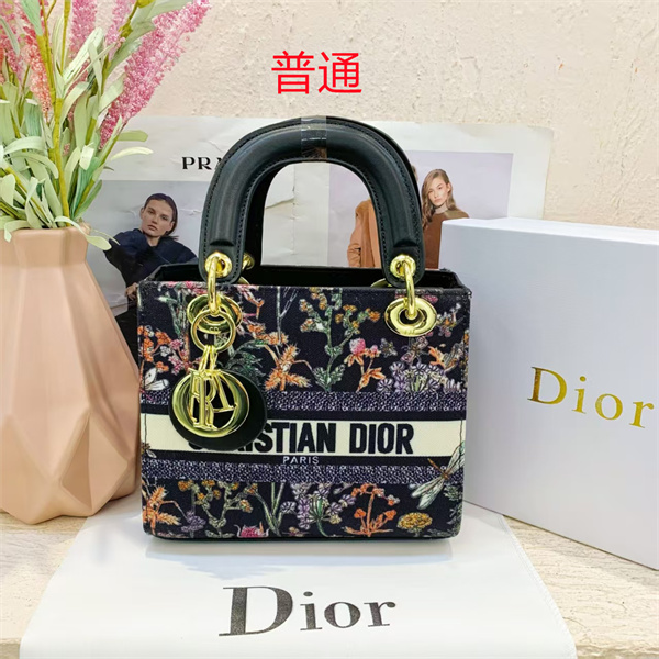 Dior small bag-0128