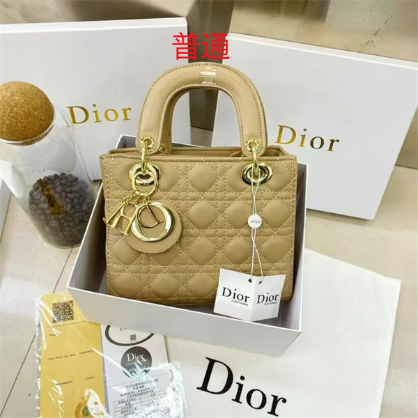 Dior small bag-0135