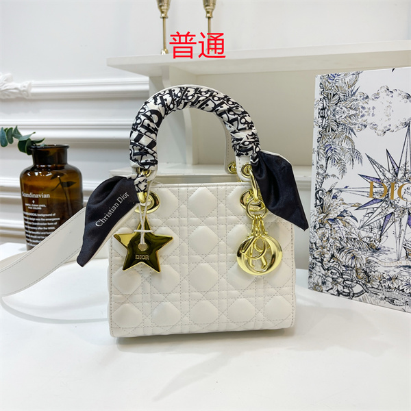 Dior small bag-0139