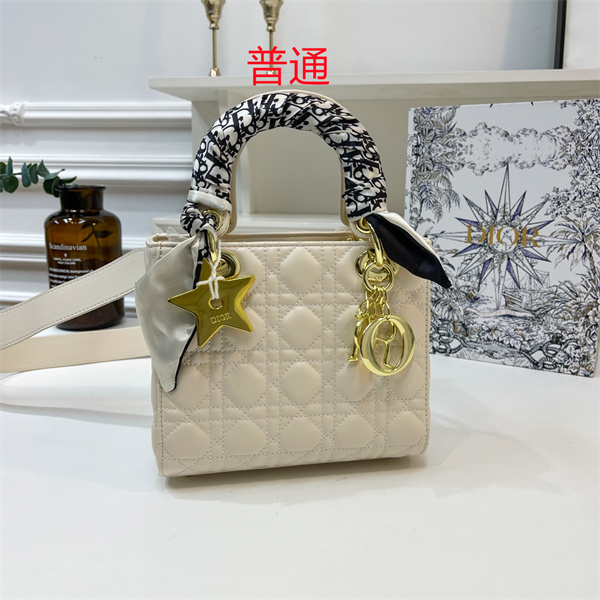 Dior small bag-0141
