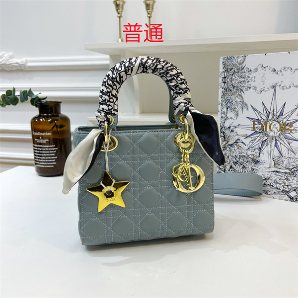 Dior small bag-0144