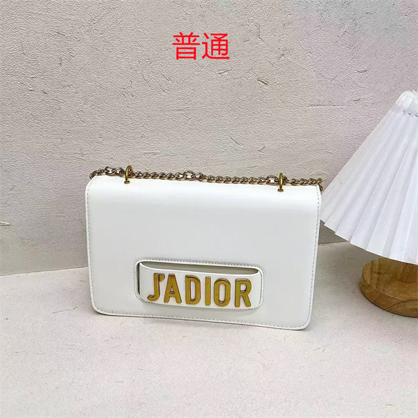 Dior small bag-0156