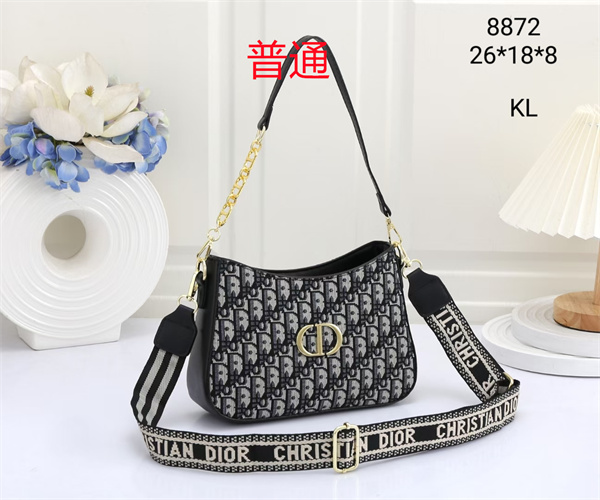 Dior small bag-0175