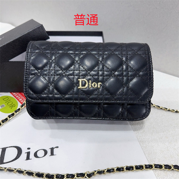 Dior small bag-0211