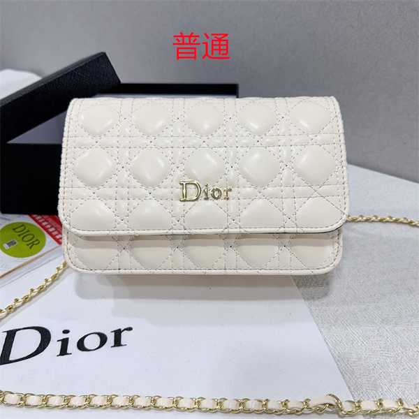Dior small bag-0212