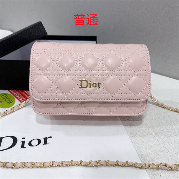 Dior small bag-0213