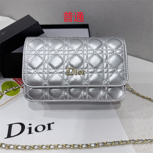 Dior small bag-0215