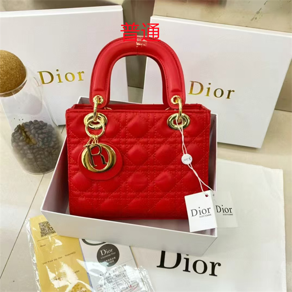 Dior small bag-0221