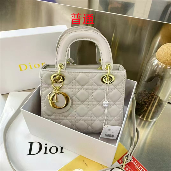 Dior small bag-0223