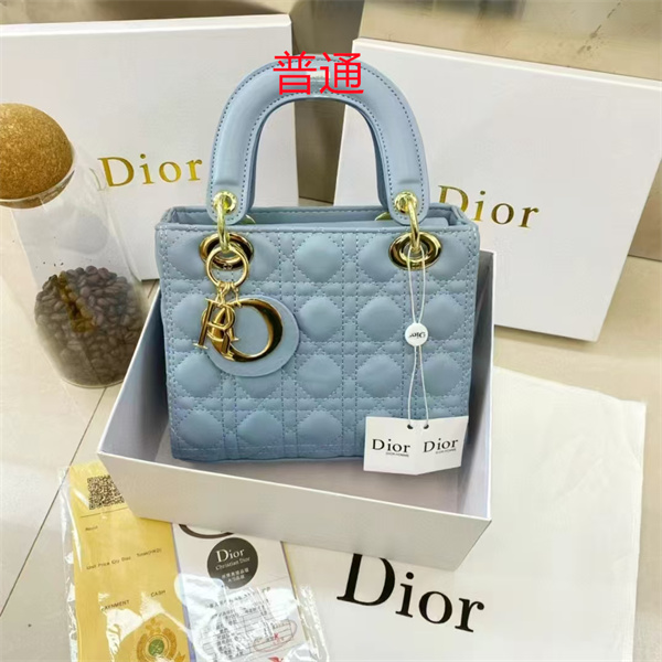 Dior small bag-0226