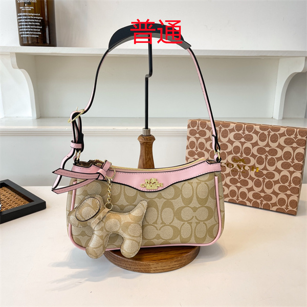 Dior small bag-0272