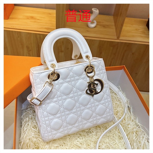 Dior small bag-0280