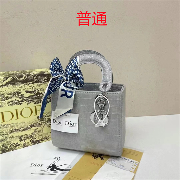 Dior small bag-0297