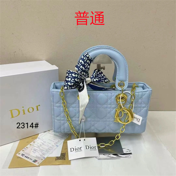 Dior small bag-0301