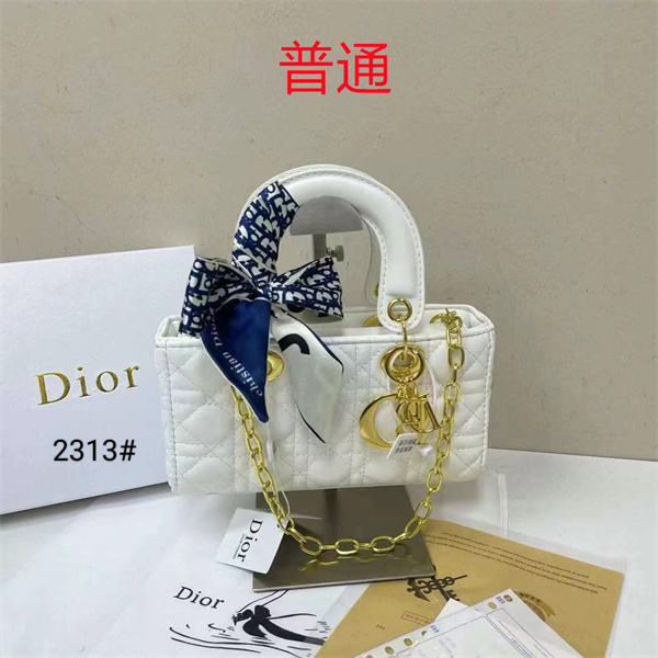 Dior small bag-0308