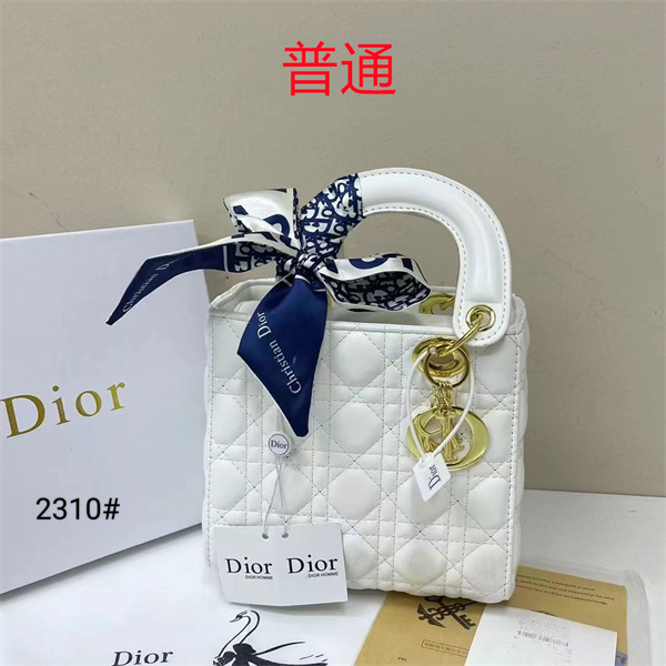Dior small bag-0335
