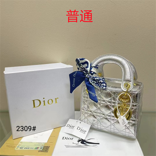 Dior small bag-0338