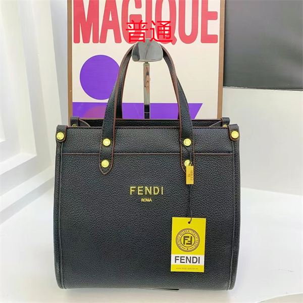 Fendi bag-0112
