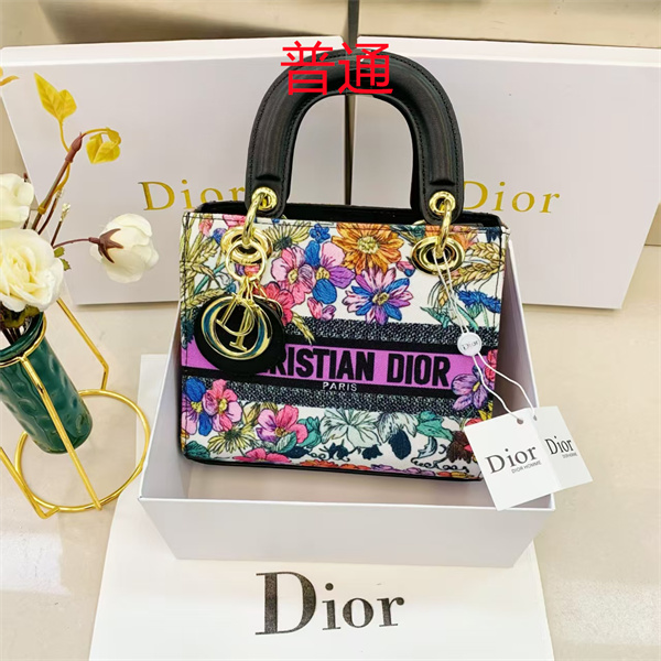 Dior small bag-0348