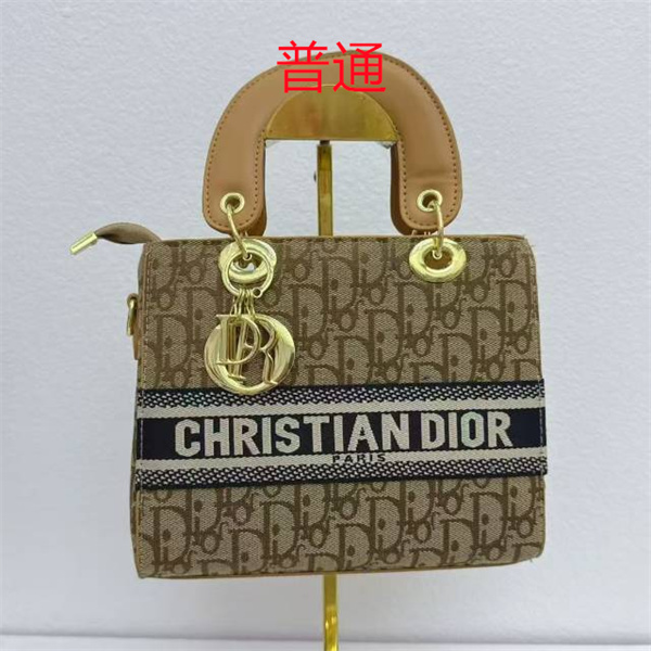 Dior small bag-0353