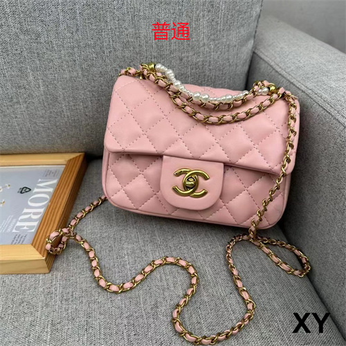 Chanel small bag-0118