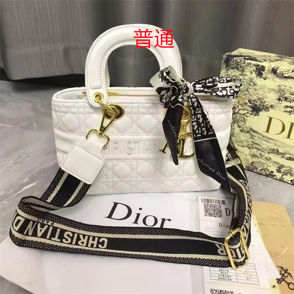 Dior small bag-0370