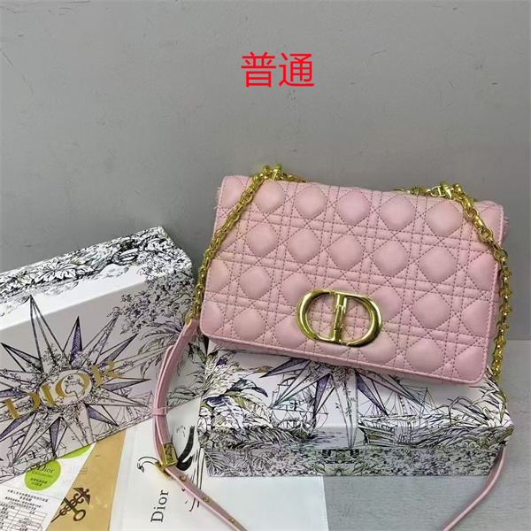 Dior small bag-0398