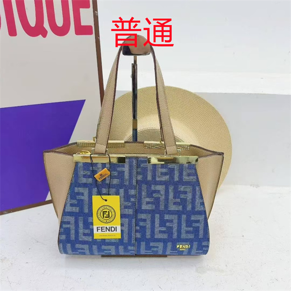 Fendi bag-0170