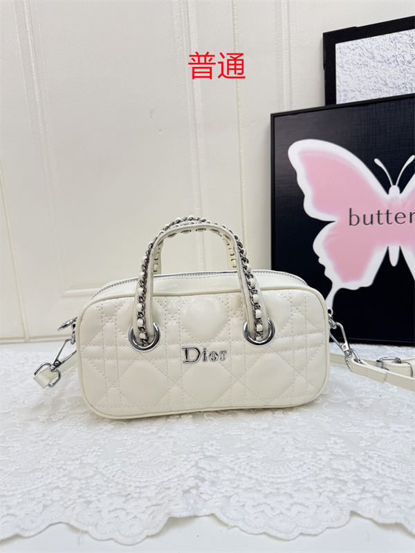 Dior small bag-0408