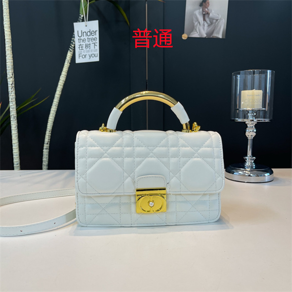 Dior small bag-0413