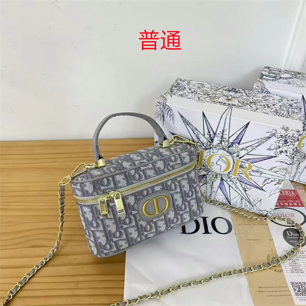 Dior small bag-0423