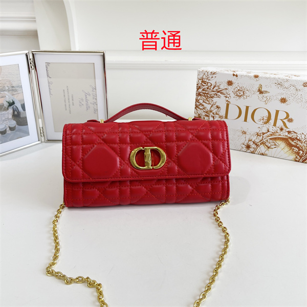 Dior small bag-0453
