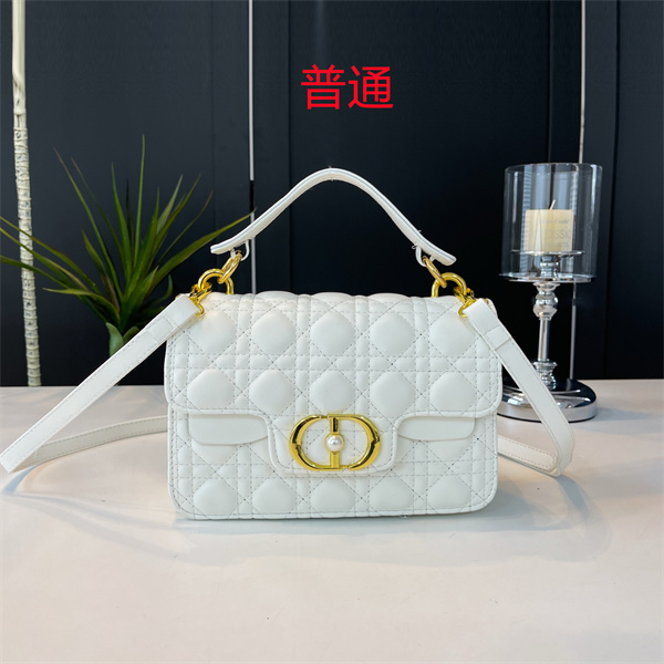 Dior small bag-0459