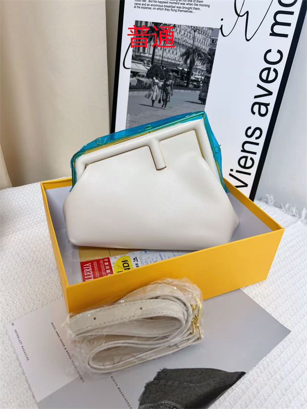 Fendi small bag-0110