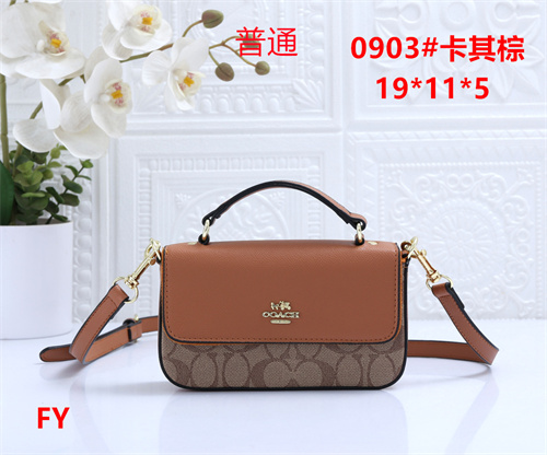 Coach small bag-0099