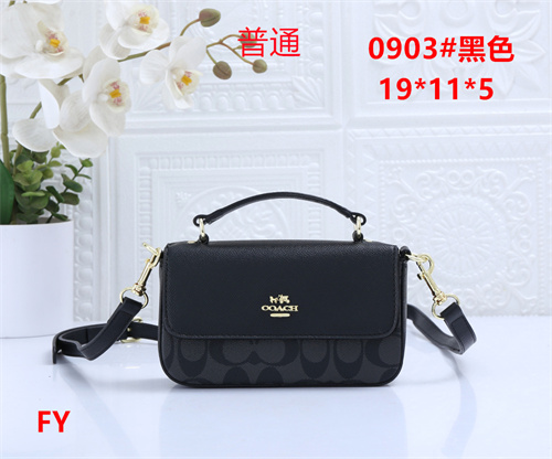 Coach small bag-0100