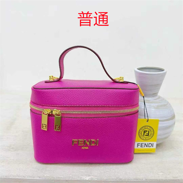 Fendi small bag-0148